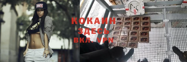 каннабис Ельня