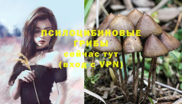 каннабис Ельня