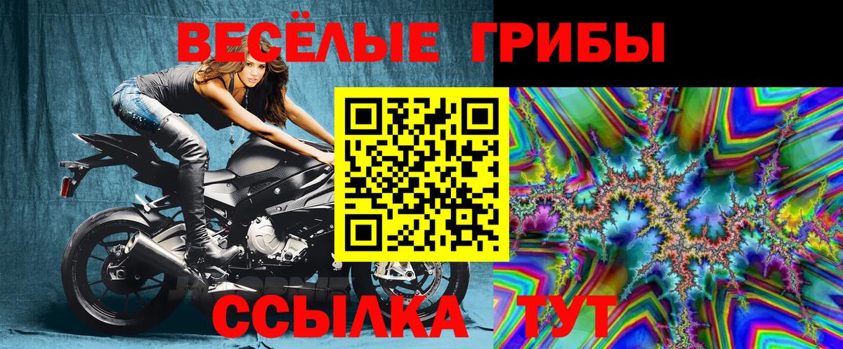 Псилоцибиновые грибы Psilocybe  Большой Камень  Галлюциногенные грибы ЛСД 