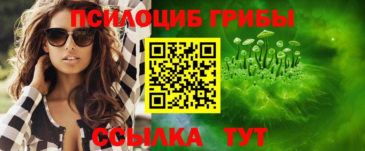 Галлюциногенные грибы Psilocybine cubensis Большой Камень
