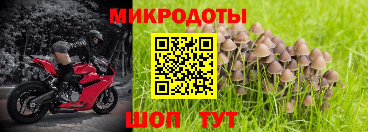 Псилоцибиновые грибы MAGIC MUSHROOMS  наркота  Галлюциногенные грибы Psilocybine cubensis  Большой Камень  Вход с VPN 