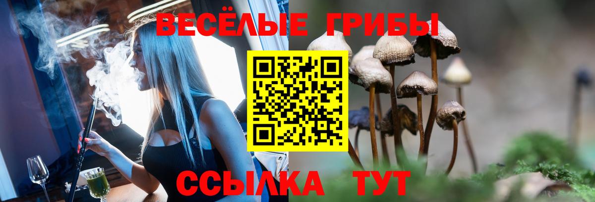 Галлюциногенные грибы Magic Shrooms Большой Камень